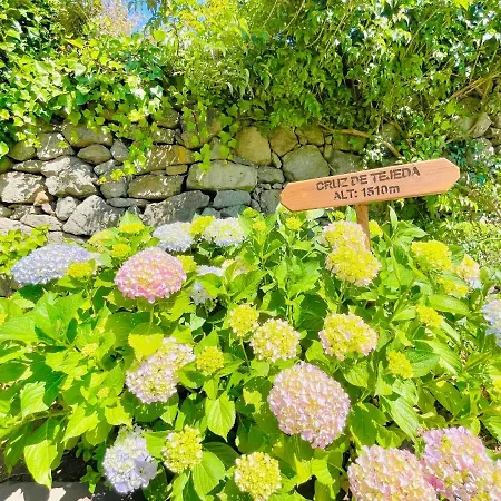 Rural El Refugio - Adults Only Отель